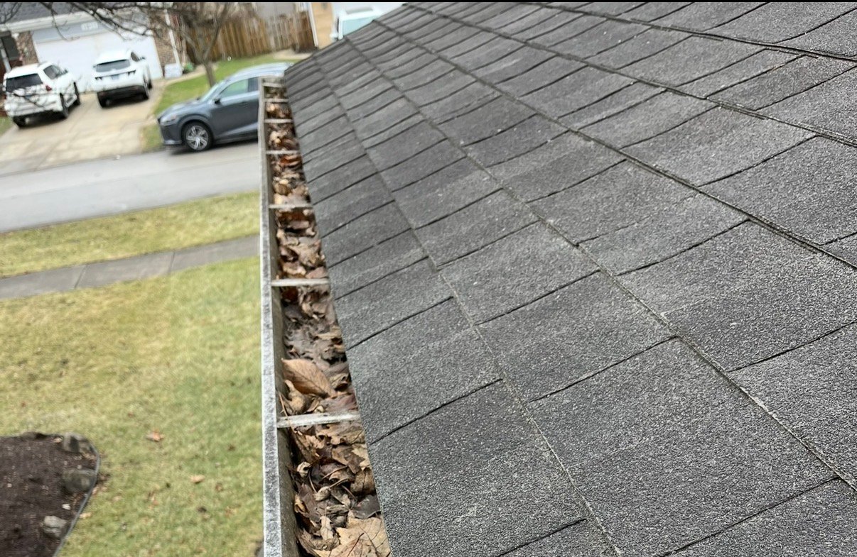 Gutter cleaning